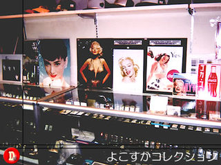 y-collection.jpg